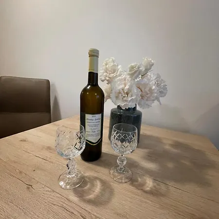 Source Within - Lipno Apartment Lipno nad Vltavou