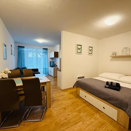 Source Within - Lipno Apartment