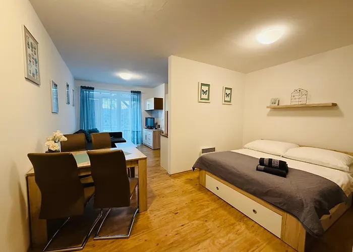 Source Within - Lipno Apartment